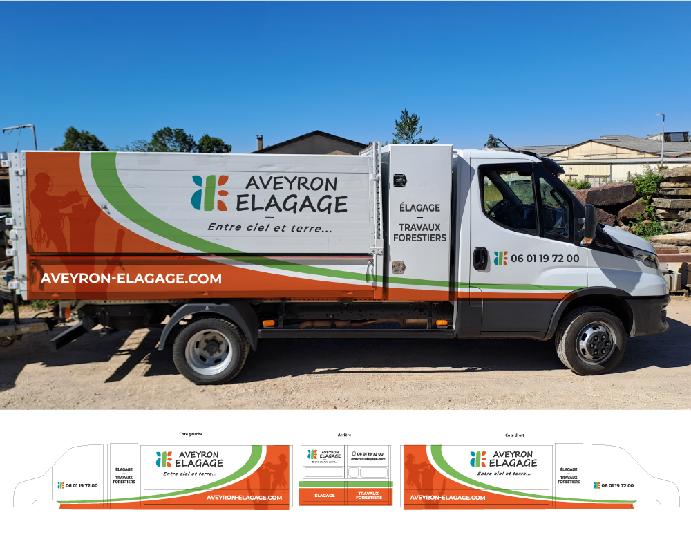 camion