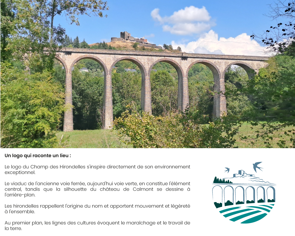demarche-creative-le-champs-des-hirondelles